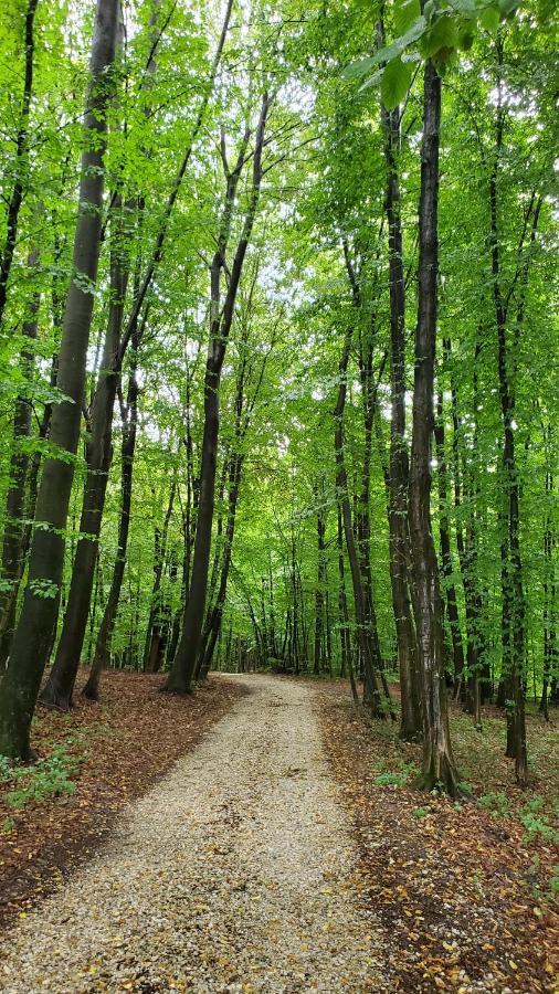 Apartma Ksela Mala Nedelja Zewnętrze zdjęcie