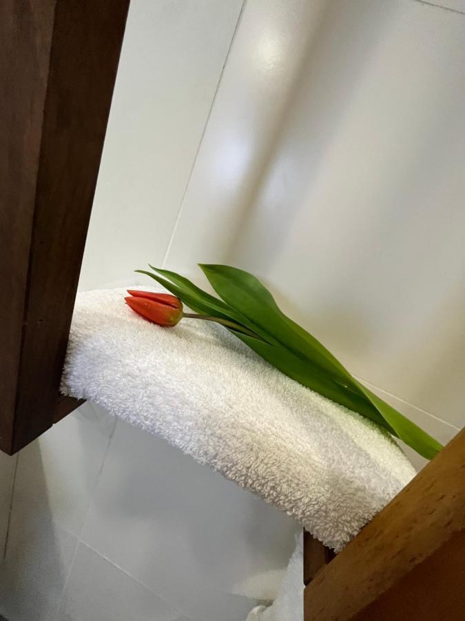 Apartma Ksela Mala Nedelja Zewnętrze zdjęcie