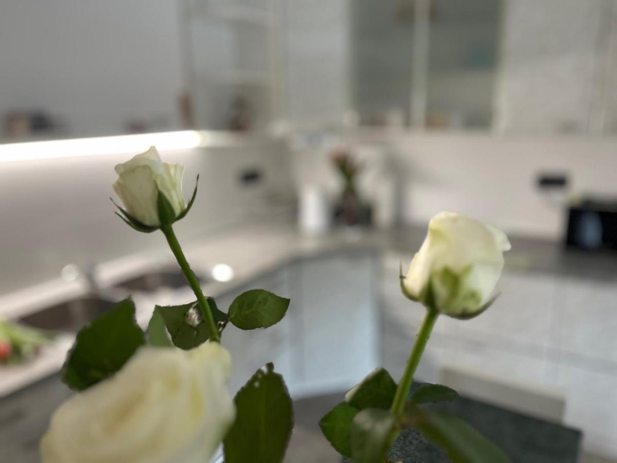 Apartma Ksela Mala Nedelja Zewnętrze zdjęcie