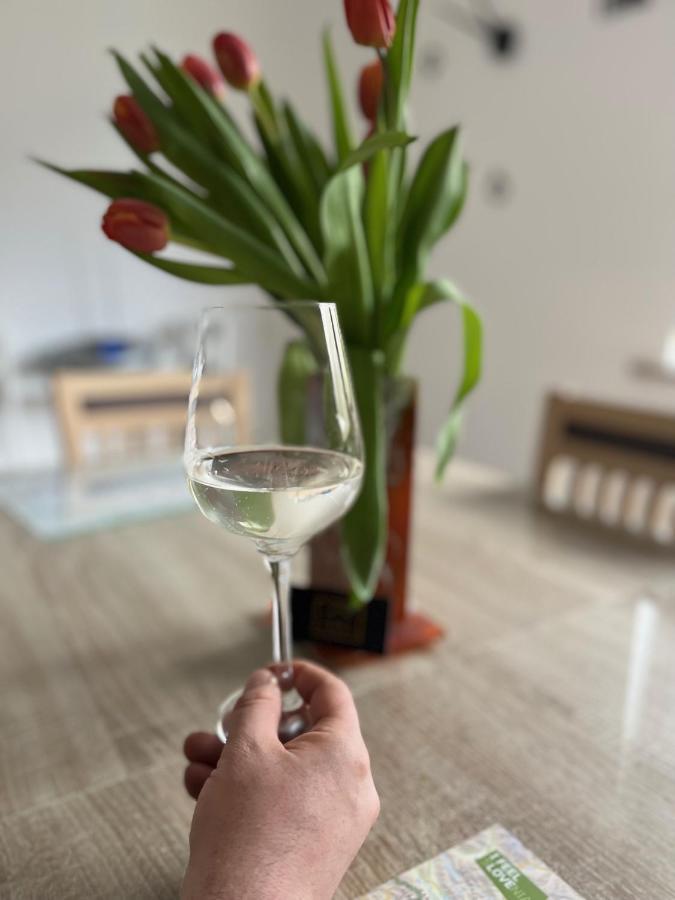 Apartma Ksela Mala Nedelja Zewnętrze zdjęcie